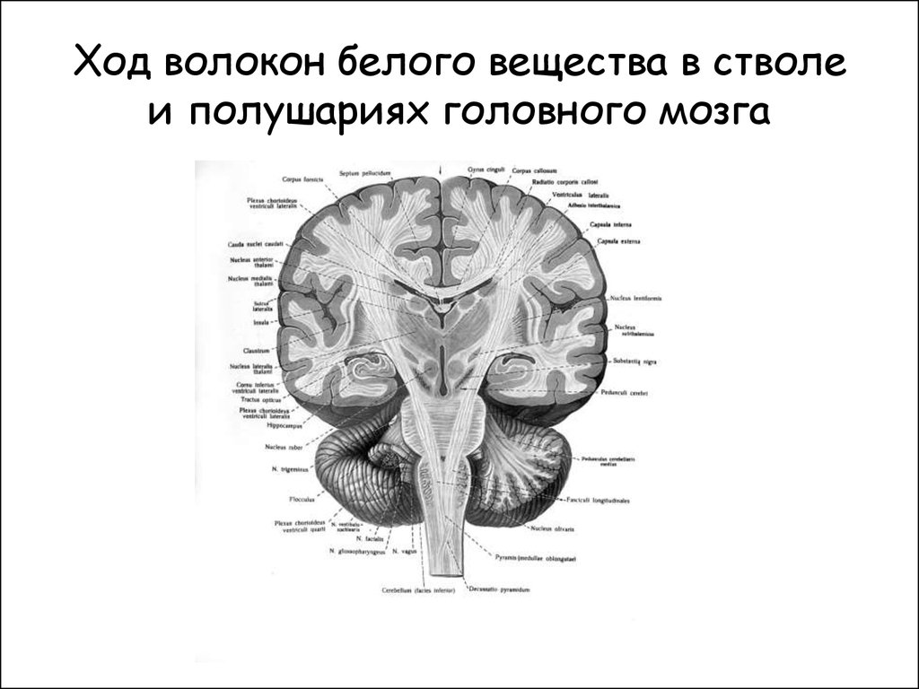 Русское гей порно бдсм порно фото и секс гиф бесплатно